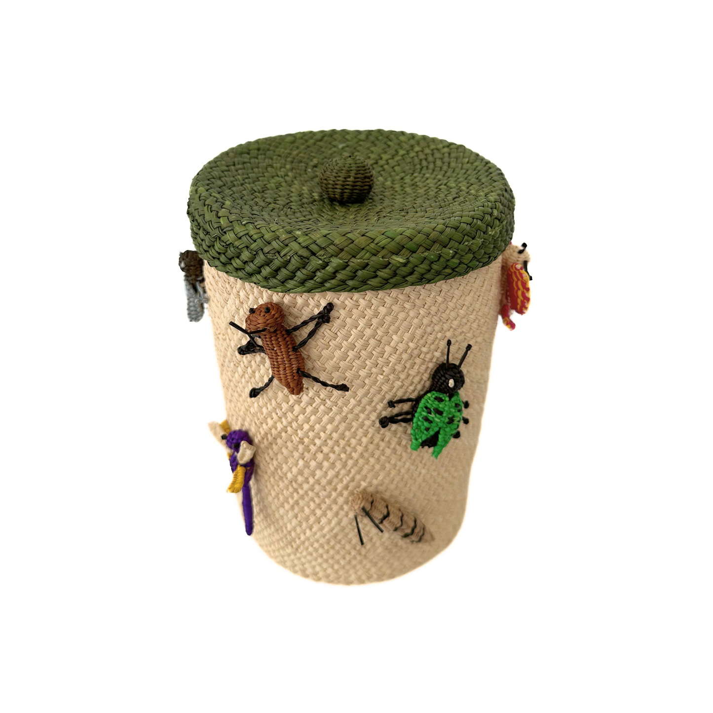 Bichos Iraca Container