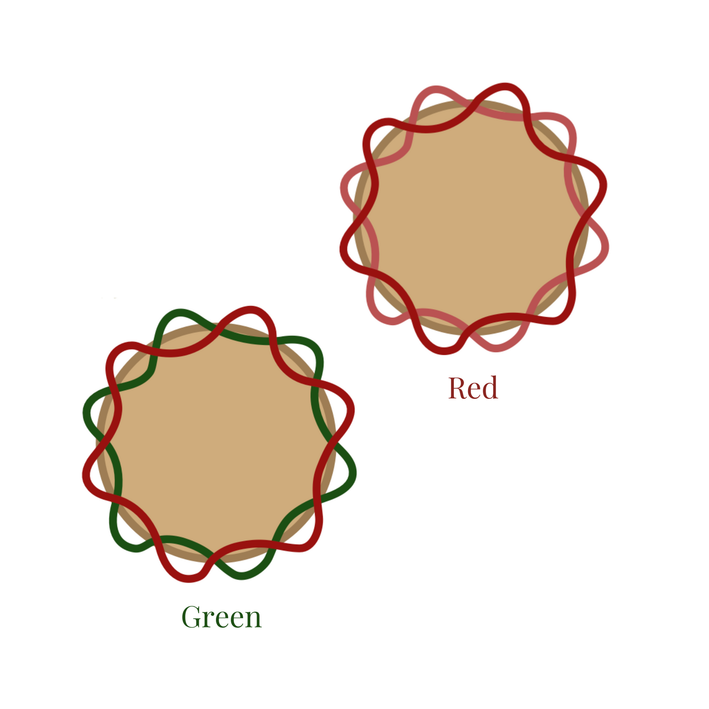 Scalloped Iraca Coaster (Set of 4, 6 & 8)