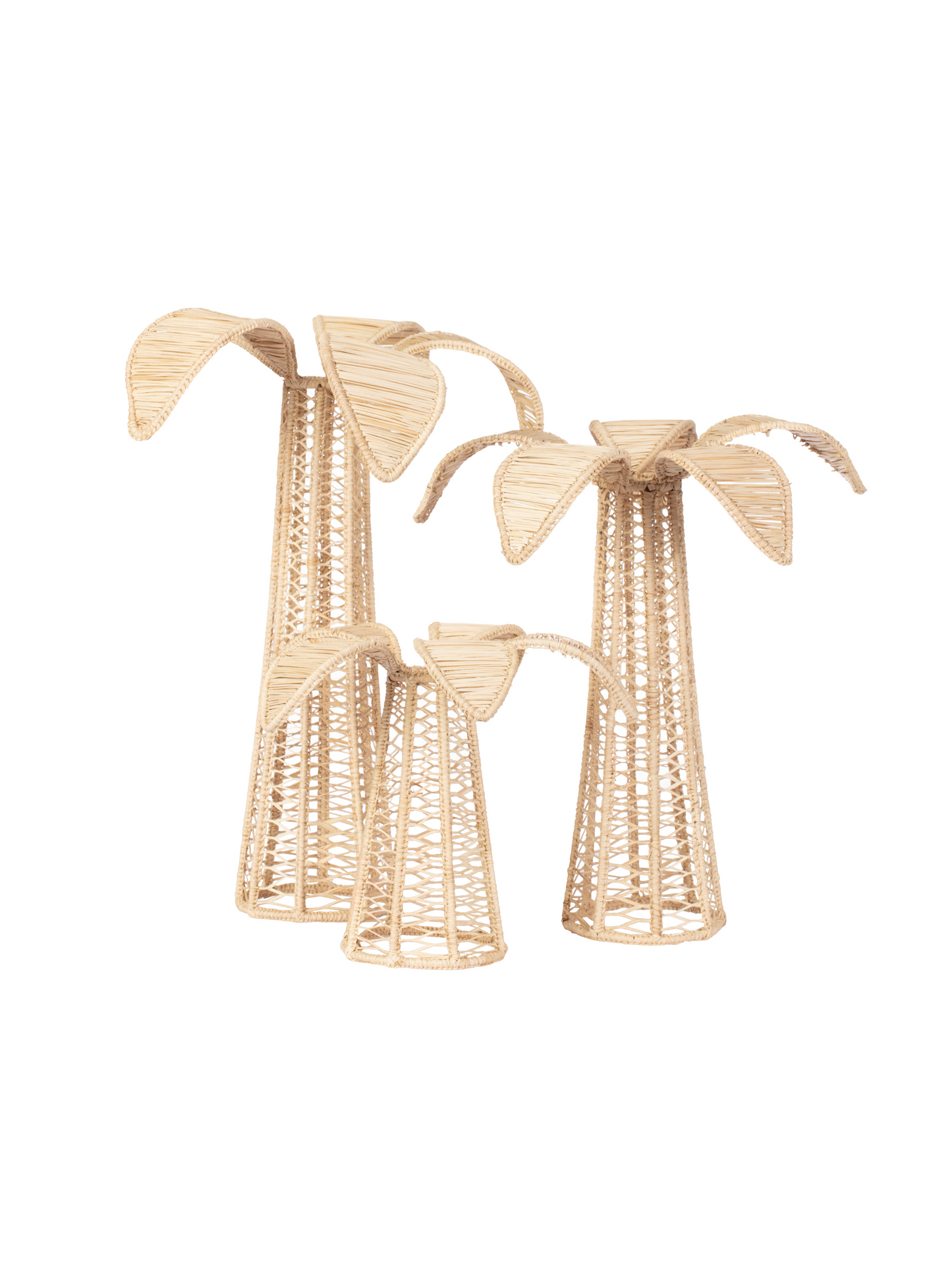 Palm Tree Iraca Decor