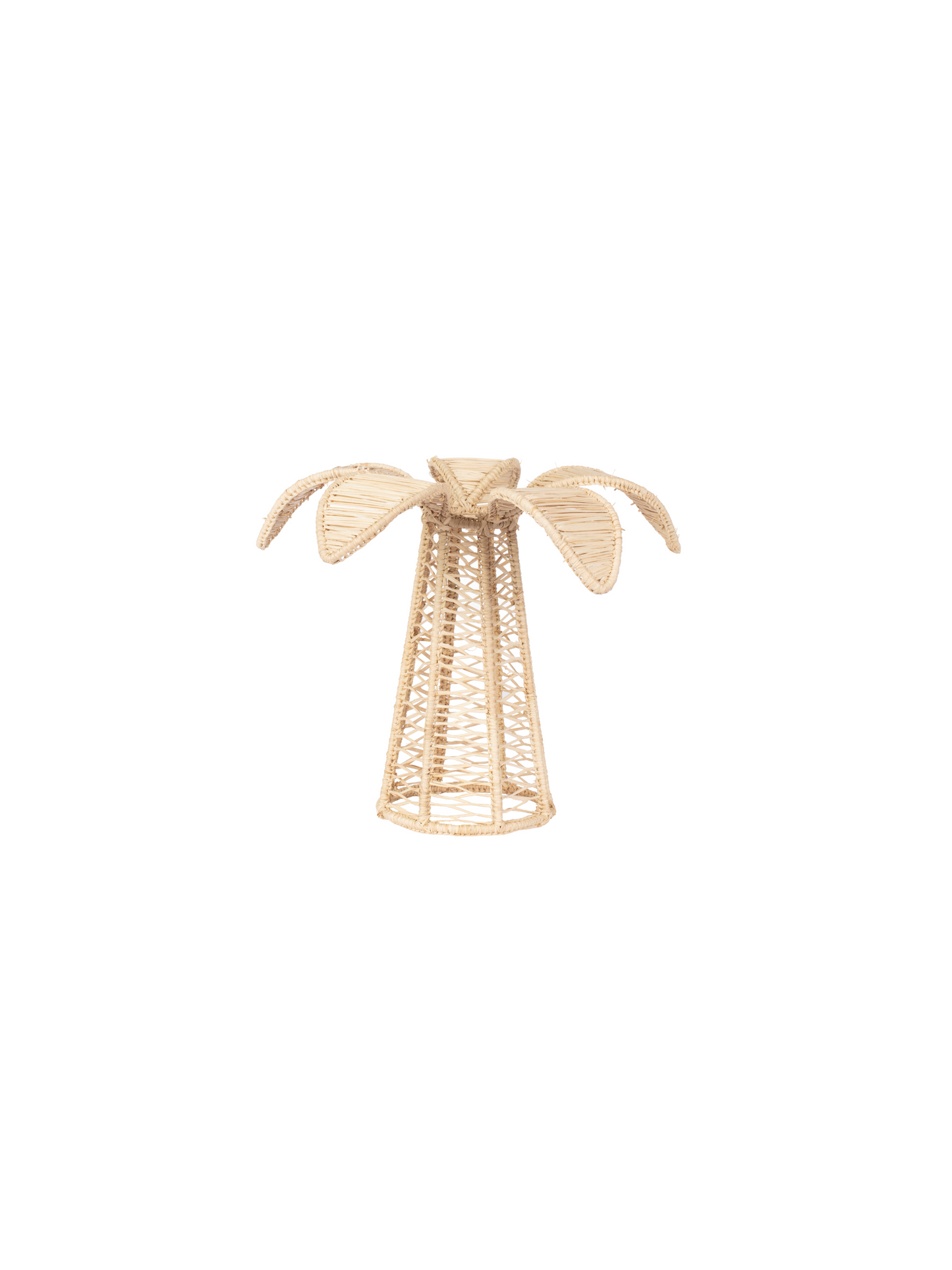 Palm Tree Iraca Decor