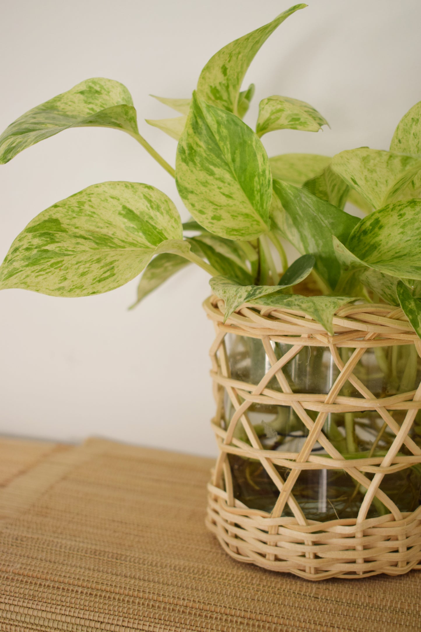 Oca Woven Glass Vase