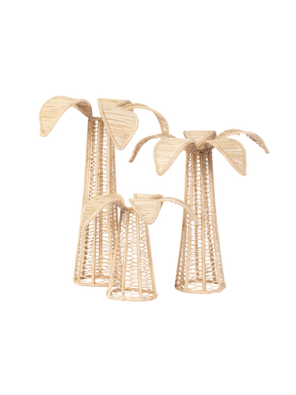 Palm Tree Iraca Decor