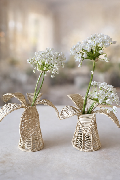 Palm Tree Iraca Decor