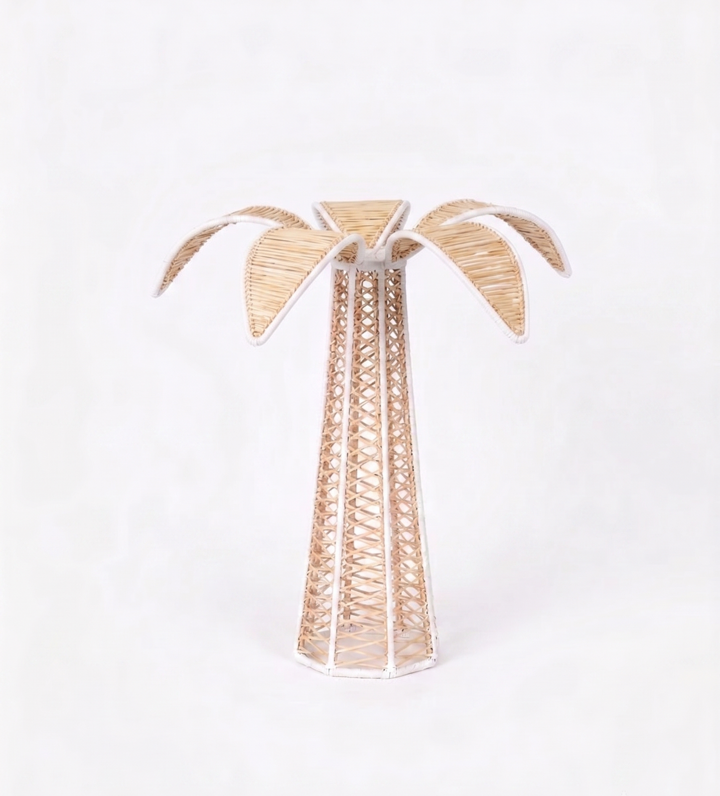 White Palm Tree Iraca Decor